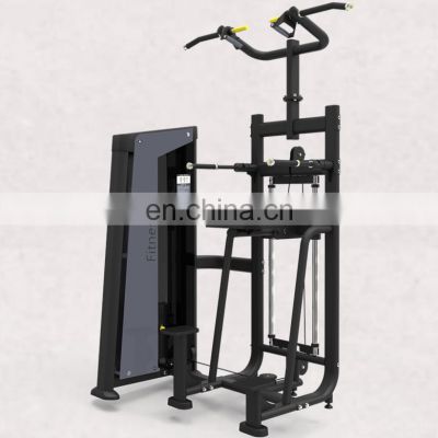 Directly Weight Lifting Dip Chin Assistbest selling personality smith machines free weights fitness exercise station multigym multi gym equipment Sport Equipment Gym Equipment