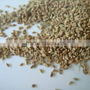 Carom Seeds photo-2