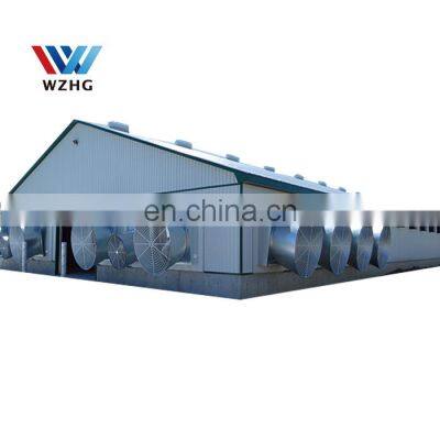 steel structure shed layer eps panel chicken poultry house chicken cow farm building