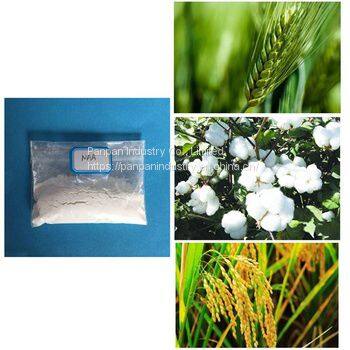 Plant Rooting Hormone Auxin Naa 1-Naphthylacetic Acid 98%TC photo-2