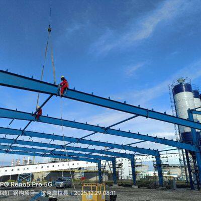 New Steel Structure Project Large Span Steel Structure Building Brickyard Workshop