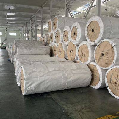 PP Woven Fabric Rolls for Custom Tarpaulin and Shelter Covers