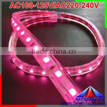 220v LED Strip