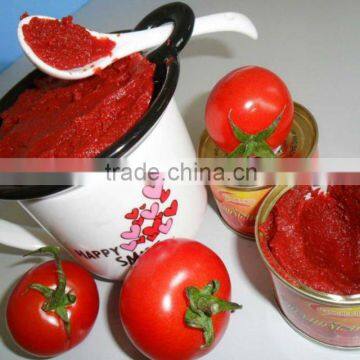 Tomato Sauce 800gram ,hard Open/easy Lid With High Quality photo-4