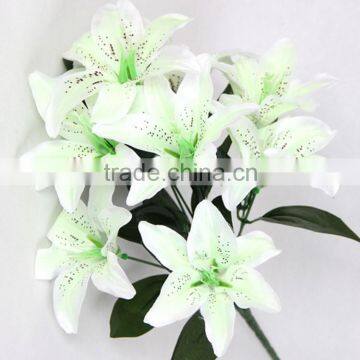 Wholesale high quality lily stargazer / casablanca lily