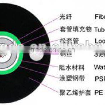 Armored fiber optic cable 8 FO Central Loose Tube optical Cable GYXTW