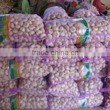 dubai market garlic price