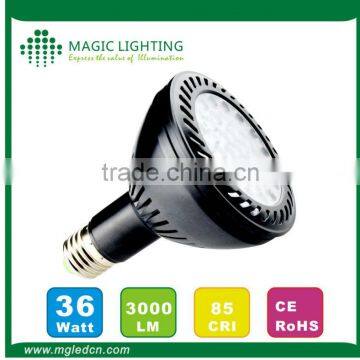 Chinese PAR30 36W COB 30w Zhongshan Guzhen Down Light Led for Home photo-6