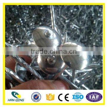 Roofing Nail Used for Building Construction photo-2