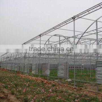 Single Layer plastic Greenhouse