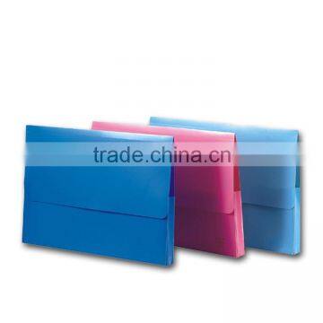 Plastic A4 Document Bag (BLY8-2008DB)