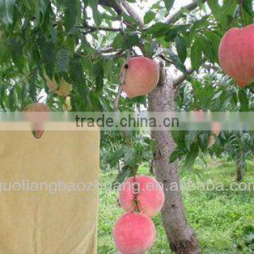 Environmental Fruit Cultivation Paper Bag