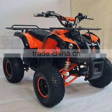 Electric ATV Quads With 800w Motor photo-2