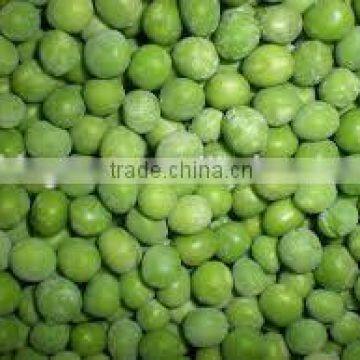 China Good Price IQF Frozen Green Peas