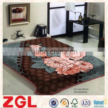 2015 NEW DESIGNS 1ply&2ply high quality hot printed raschel korean style blanket NO.CJ402