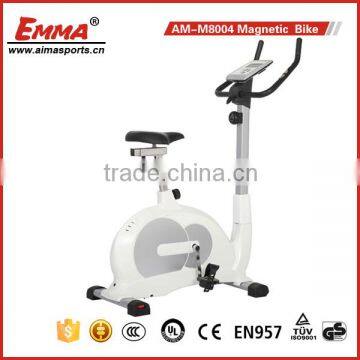 Cardio spin bike/magnetic bike/exercise bike 8004