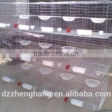 Hot Sale 6 Tiers Quail Cage photo-2