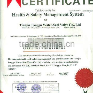 OHSAS18001