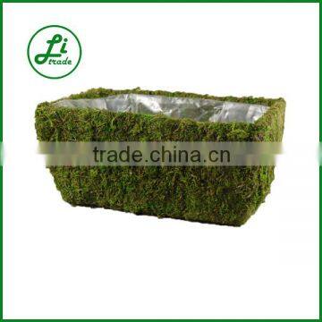rectangular moss planters