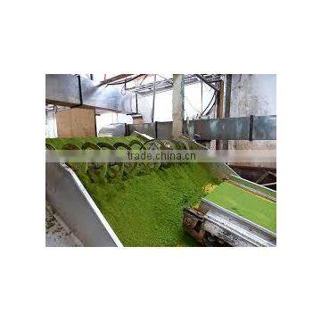 Oishi Green Tea SP2 ( Super Pekoe 2 ) is Famous Tea Brands From World Famous Tea Paris Viet Nam photo-4