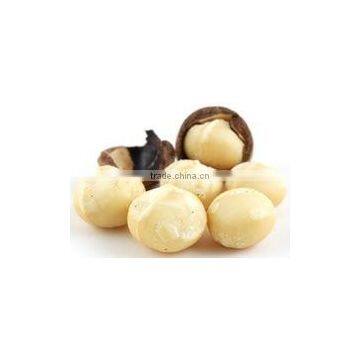 MACADAMIA NUTS