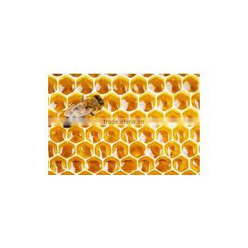 PURE ORGANIC HONEY