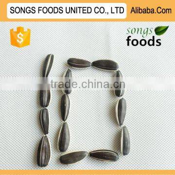 Large Size Sunflower Seeds New Crop