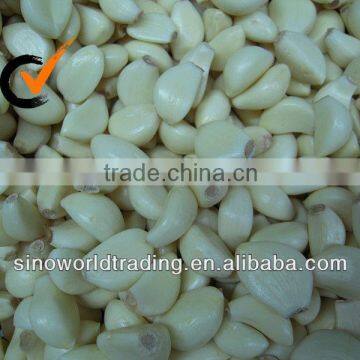 Fresh Peeled Garlic Cloves