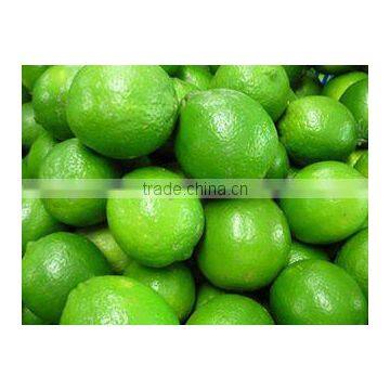 Fresh seedless lime export to dubai