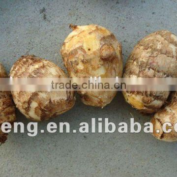 2015 new crop taro factory with low price