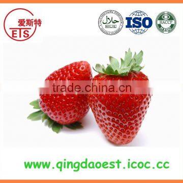 For Sale Bulk Fresh Strawberry photo-6