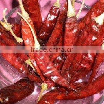 INDIAN HOT CHILI