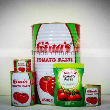 sachet tomato paste,canned tomato sauce,ketchup,tomato concentrate canned tomato ketchup