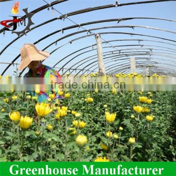 China hot sale commercial flower greenhouse for sale