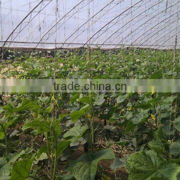 Liquid Fertilizer photo-6