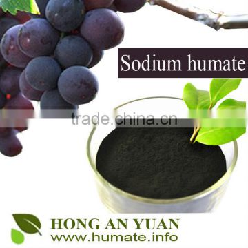 Sodium Humate Shiny Flake / Powder / Granule Potassium Chicken Feed Additive