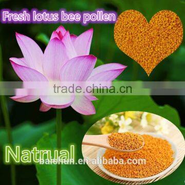 Pure Bulk Edible Lotus Bee Food Pollen Haemostatic