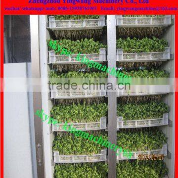 Bean Sprouts Incubator