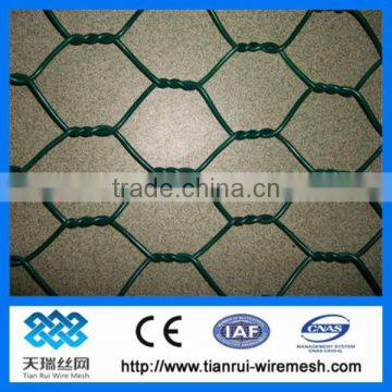 Anping Supplier Galvanized Hexagonal Wire Mesh