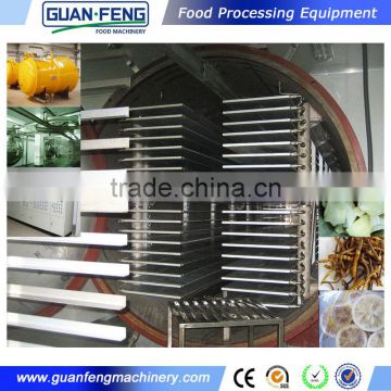 Chinese food & vegetable fruit vacuum freeze drying machine