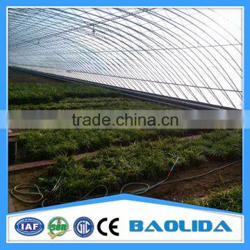 Commercial Greenhouse for Agriculture photo-3