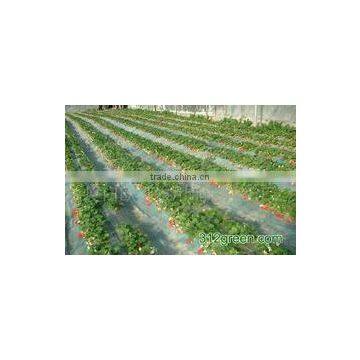 PE plastic mulch film for agriculture