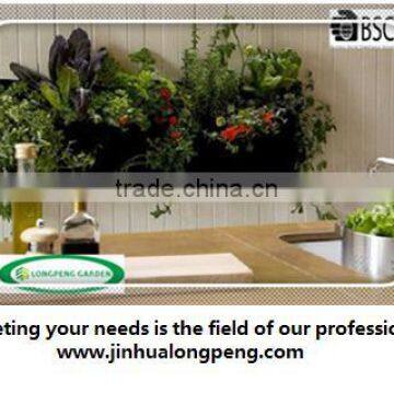 Wholesale Vertical Garden Wall Planters