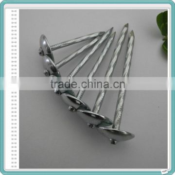 Galvanized Umbrella Head Roofing Nail/1-4 Inch Roofing Nails