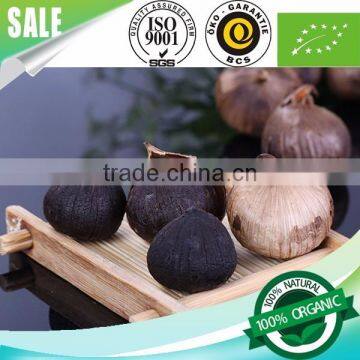 Supply l Black Garlic 100% Natural photo-4