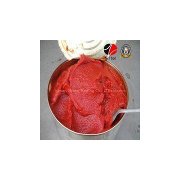 Zhengzhou Nilton Delicious Magical Tomato Paste Ketchup