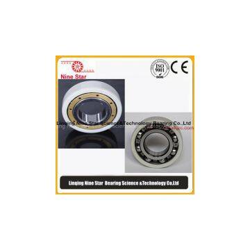 Ball bearings for electric motor