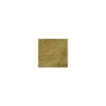 Dehydrated Ginger powder