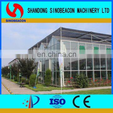 2017 Hot Sale Used Commercial Mushroom Greenhouse