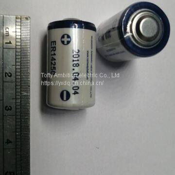 Первичная литиевая батарея